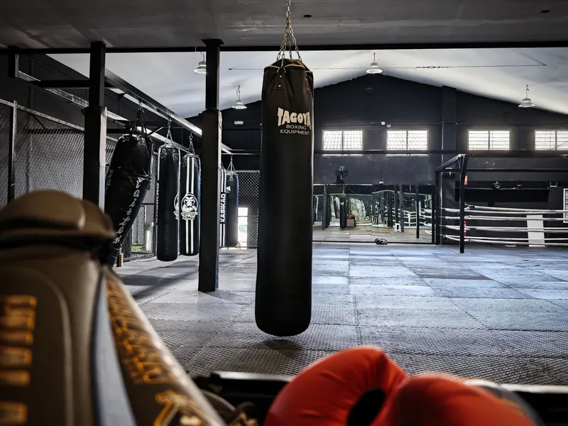 Sacos de boxeo colgados en la sala